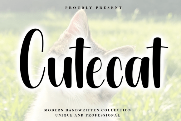 Discover Cutecat: Modern Handwritten Elegance